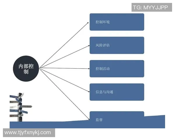 JDG在大师赛中的心理素质分析与表现评估