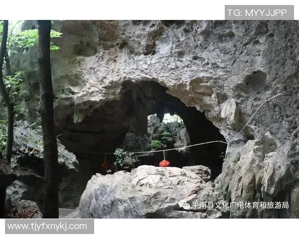 鹿儿岛与阜岐的精彩对决揭示两地文化与体育的独特魅力