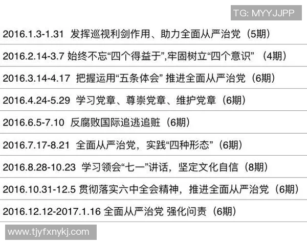重磅专题：探索WE的节奏革新与未来发展趋势分析