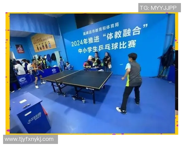 乒乓球的魅力与团队精神：深入广州乒乓球队的协作之道