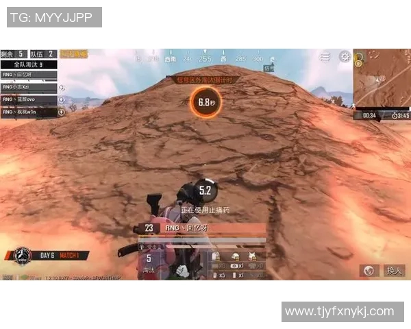 和平精英战术解析：深入探讨RNG战队的边路渗透策略与执行技巧