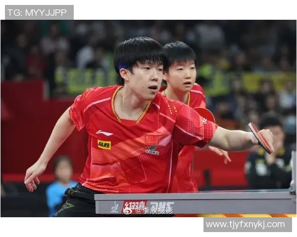 成都乒乓球队在冠军赛中的个人能力展现与战术分析