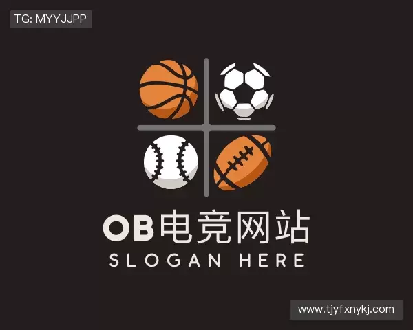 介绍ob电竞入口